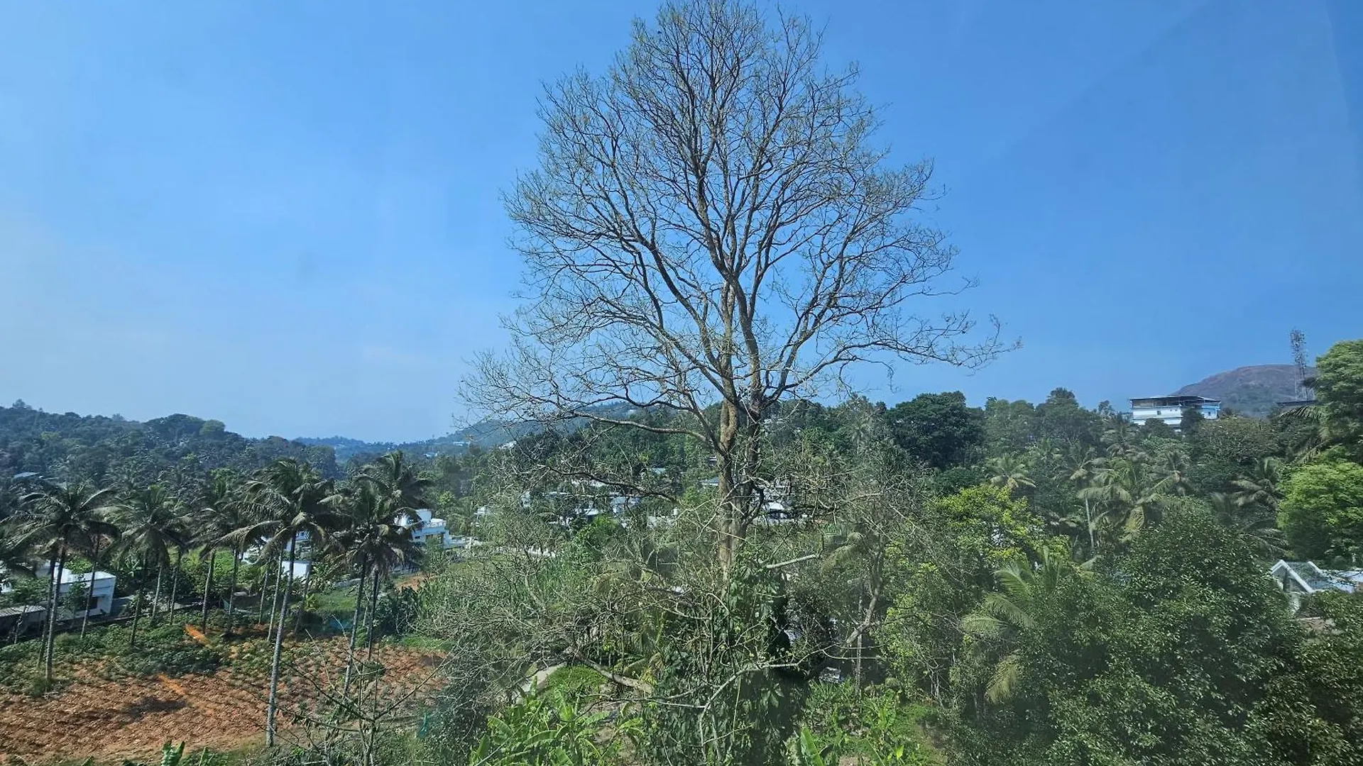 Mist Residency Hotel Kattappana